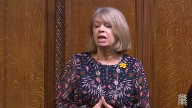 Harriett Baldwin MP speaking in the House of Commons