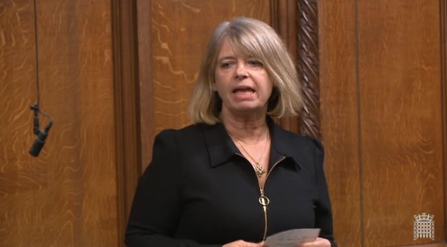 Harriett Baldwin MP speaking in the House of Commons