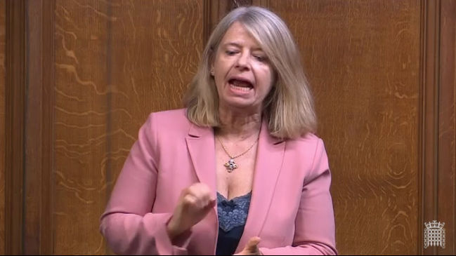 Harriett Baldwin MP speaking in the House of Commons