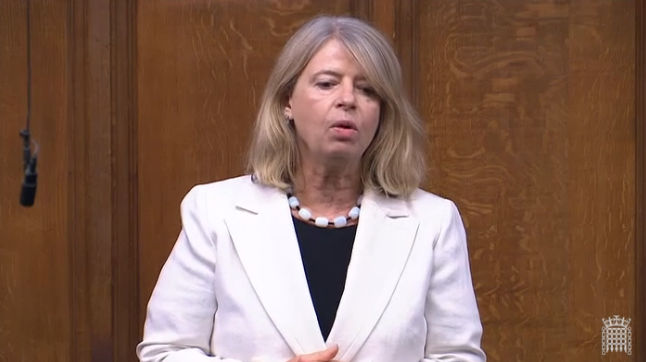 Harriett Baldwin MP speaking in the House of Commons