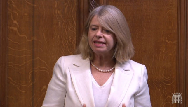 Harriett Baldwin MP speaking in the House of Commons