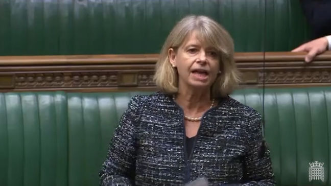 Harriett Baldwin MP speaking in the House of Commons