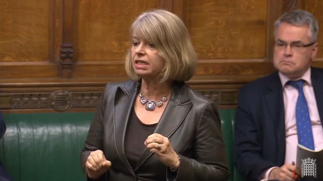 Harriett Baldwin MP speaking in the House of Commons