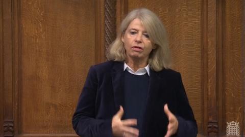 Dame Harriett Baldwin MP speaking in the House of Commons